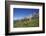 Fungi in the Grass of the Marienberg Alp Near Biberwier in Tyrol, Mountaintop-Uwe Steffens-Framed Photographic Print