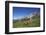 Fungi in the Grass of the Marienberg Alp Near Biberwier in Tyrol, Mountaintop-Uwe Steffens-Framed Photographic Print