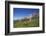 Fungi in the Grass of the Marienberg Alp Near Biberwier in Tyrol, Mountaintop-Uwe Steffens-Framed Photographic Print