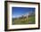 Fungi in the Grass of the Marienberg Alp Near Biberwier in Tyrol, Mountaintop-Uwe Steffens-Framed Photographic Print