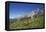 Fungi in the Grass of the Marienberg Alp Near Biberwier in Tyrol, Mountaintop-Uwe Steffens-Framed Premier Image Canvas