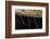 Fungus gnat larvae, with sticky hanging threads, waiting to ambush small flying insects, Malaysia-Emanuele Biggi-Framed Photographic Print