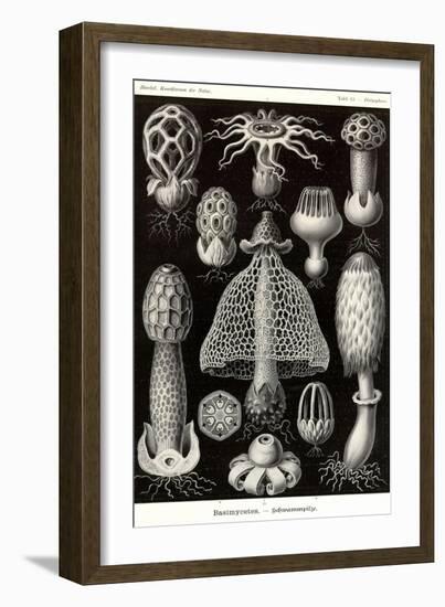 Funji-Ernst Haeckel-Framed Art Print