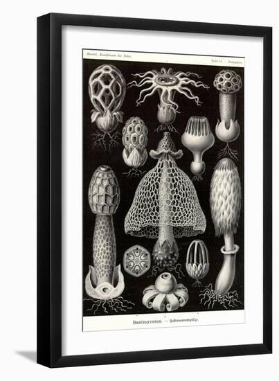 Funji-Ernst Haeckel-Framed Art Print