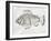 Funky Fish-alexmakarova-Framed Art Print