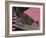 Funky Gaga-Belen Mena-Framed Giclee Print