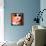 Funky Summer Portrait-NinaMalyna-Framed Premier Image Canvas displayed on a wall