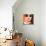 Funky Summer Portrait-NinaMalyna-Mounted Photographic Print displayed on a wall