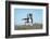 Funny American Staffordshire Terrier Dog with Crazy Eyes Flying in the Air-Grigorita Ko-Framed Photographic Print