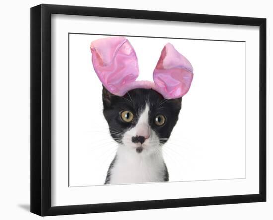 Funny Black and White Kitten Wearing Pink Easter Bunny Ears-Hannamariah-Framed Photographic Print