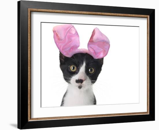 Funny Black and White Kitten Wearing Pink Easter Bunny Ears-Hannamariah-Framed Photographic Print