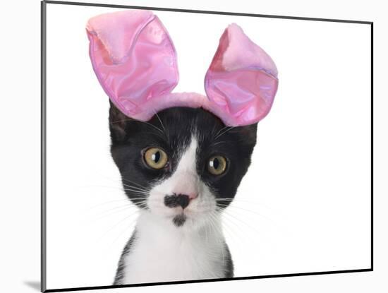 Funny Black and White Kitten Wearing Pink Easter Bunny Ears-Hannamariah-Mounted Photographic Print