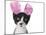 Funny Black and White Kitten Wearing Pink Easter Bunny Ears-Hannamariah-Mounted Photographic Print