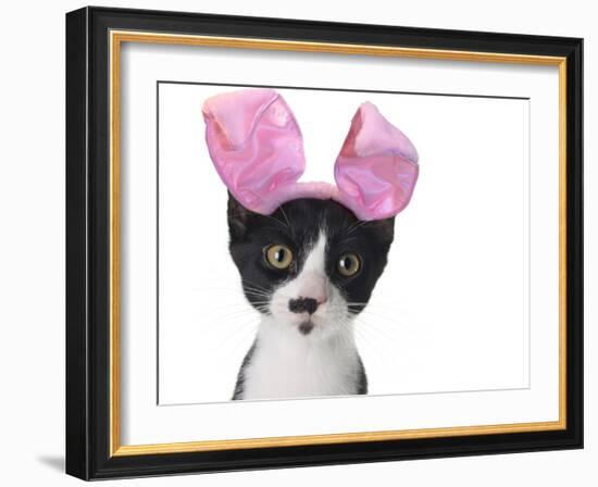 Funny Black and White Kitten Wearing Pink Easter Bunny Ears-Hannamariah-Framed Photographic Print