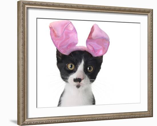 Funny Black and White Kitten Wearing Pink Easter Bunny Ears-Hannamariah-Framed Photographic Print