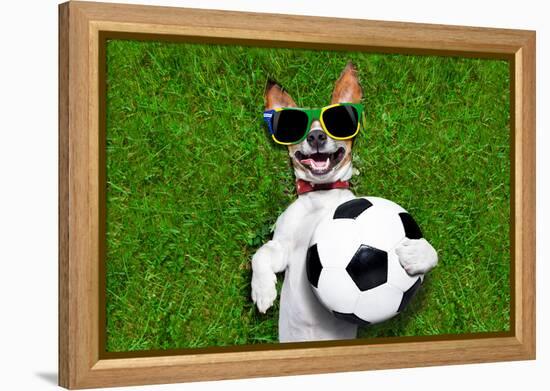 Funny Brazil Soccer Dog-Javier Brosch-Framed Premier Image Canvas