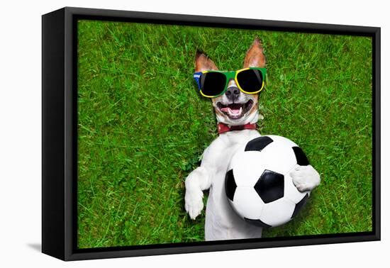 Funny Brazil Soccer Dog-Javier Brosch-Framed Premier Image Canvas