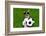 Funny Brazil Soccer Dog-Javier Brosch-Framed Photographic Print