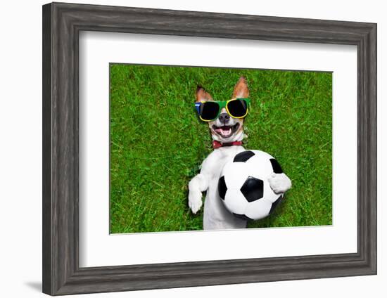 Funny Brazil Soccer Dog-Javier Brosch-Framed Photographic Print