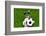 Funny Brazil Soccer Dog-Javier Brosch-Framed Photographic Print