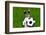 Funny Brazil Soccer Dog-Javier Brosch-Framed Photographic Print