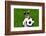 Funny Brazil Soccer Dog-Javier Brosch-Framed Photographic Print