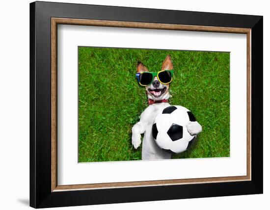 Funny Brazil Soccer Dog-Javier Brosch-Framed Photographic Print