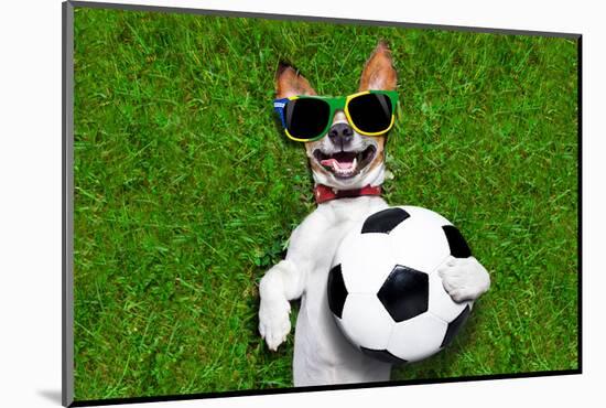 Funny Brazil Soccer Dog-Javier Brosch-Mounted Photographic Print
