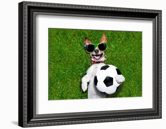 Funny Brazil Soccer Dog-Javier Brosch-Framed Photographic Print