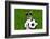 Funny Brazil Soccer Dog-Javier Brosch-Framed Photographic Print