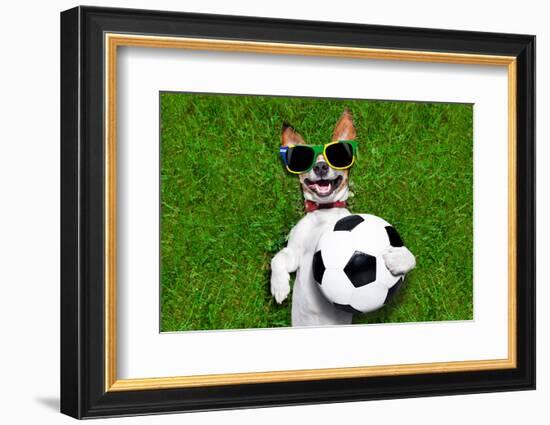 Funny Brazil Soccer Dog-Javier Brosch-Framed Photographic Print