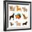 Funny Cartoon Dogs-venimo-Framed Art Print