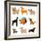 Funny Cartoon Dogs-venimo-Framed Art Print