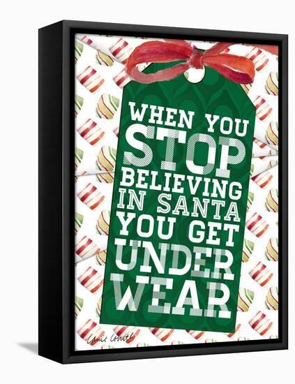 Funny Christmas Present Tags II-Lanie Loreth-Framed Stretched Canvas