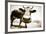 Funny Cow Stains-ongap-Framed Photographic Print