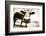 Funny Cow Stains-ongap-Framed Photographic Print