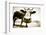 Funny Cow Stains-ongap-Framed Photographic Print