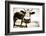 Funny Cow Stains-ongap-Framed Photographic Print