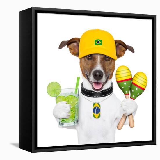 Funny Dog Brazil-Javier Brosch-Framed Premier Image Canvas