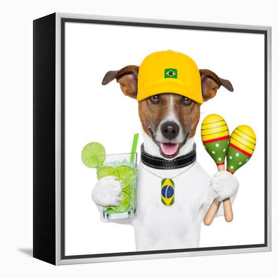 Funny Dog Brazil-Javier Brosch-Framed Premier Image Canvas