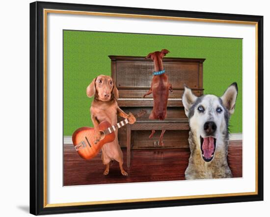 Funny Dog Card-graphicphoto-Framed Photographic Print
