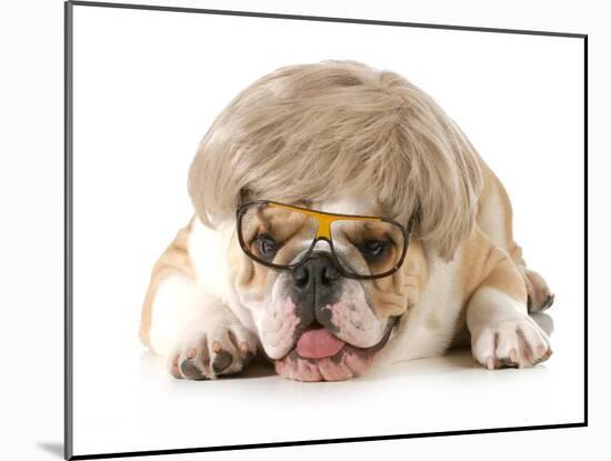 Funny Dog - English Bulldog Wearing Silly Wig And Glasses Isolated On White Background-Willee Cole-Mounted Photographic Print