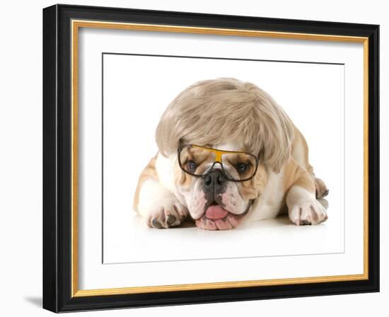 Funny Dog - English Bulldog Wearing Silly Wig And Glasses Isolated On White Background-Willee Cole-Framed Photographic Print