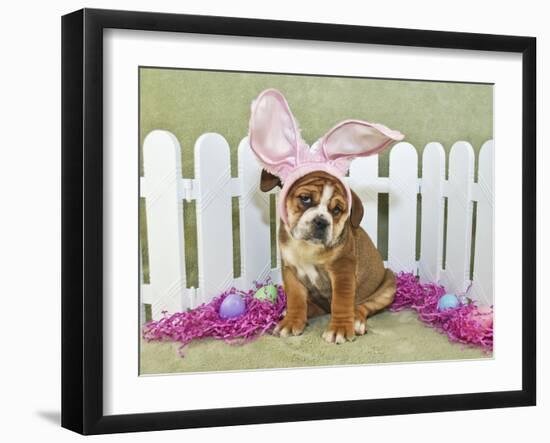 Funny Easter Bulldog-JStaley401-Framed Photographic Print