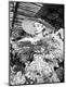 Premium Photographic Print