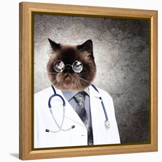 Funny Fluffy Cat Doctor In A Robe And Glasses. Collage-Sergey Nivens-Framed Premier Image Canvas