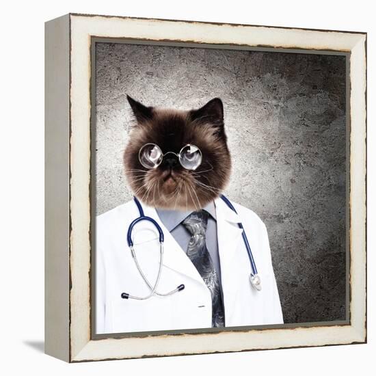 Funny Fluffy Cat Doctor In A Robe And Glasses. Collage-Sergey Nivens-Framed Premier Image Canvas