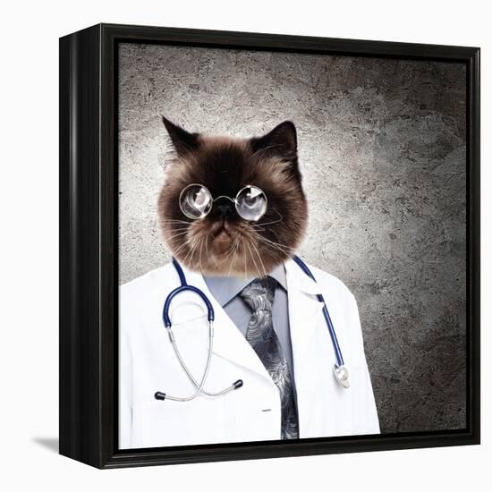 Funny Fluffy Cat Doctor In A Robe And Glasses. Collage-Sergey Nivens-Framed Premier Image Canvas