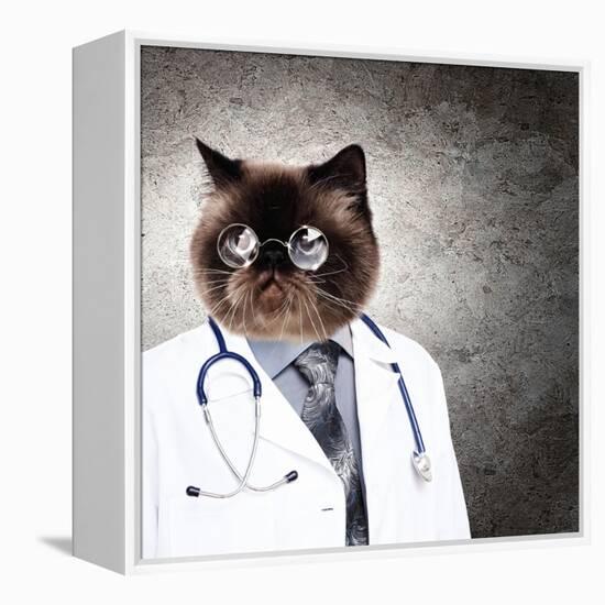 Funny Fluffy Cat Doctor In A Robe And Glasses. Collage-Sergey Nivens-Framed Premier Image Canvas