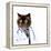 Funny Fluffy Cat Doctor in a Robe and Glasses. Collage-Sergey Nivens-Framed Premier Image Canvas